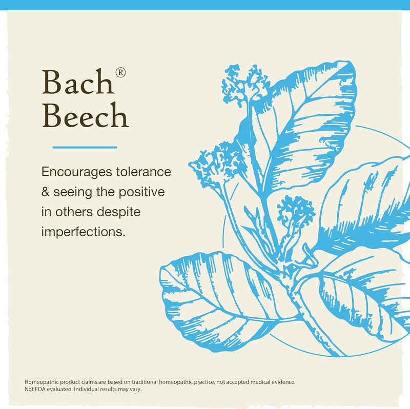 Bach Original Flower Remedies, Beech for Tolerance, Natural Homeopathic Flower Essence, Holistic Wellness and Stress Relief, Vegan, 20mL Dropper